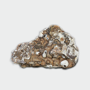 Gibbsita