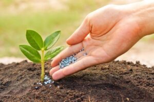 Fertilizantes